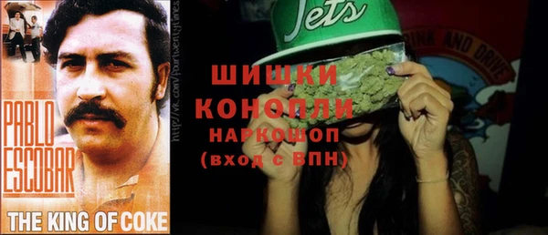 spice Лиски