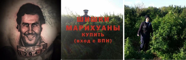 2c-b Липки