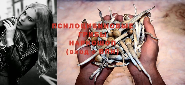 не бодяженный Ладушкин
