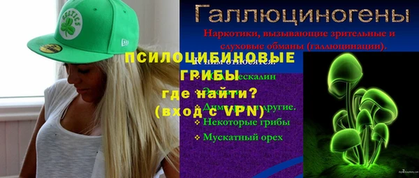 не бодяженный Ладушкин